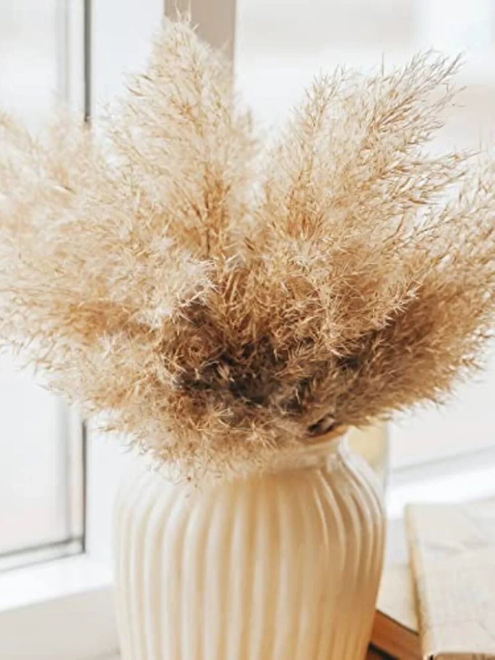 New Pampas Grass Decor, Natural Dry Pampas Grass Small, Short Pampass Bulk - Picture 7 of 7